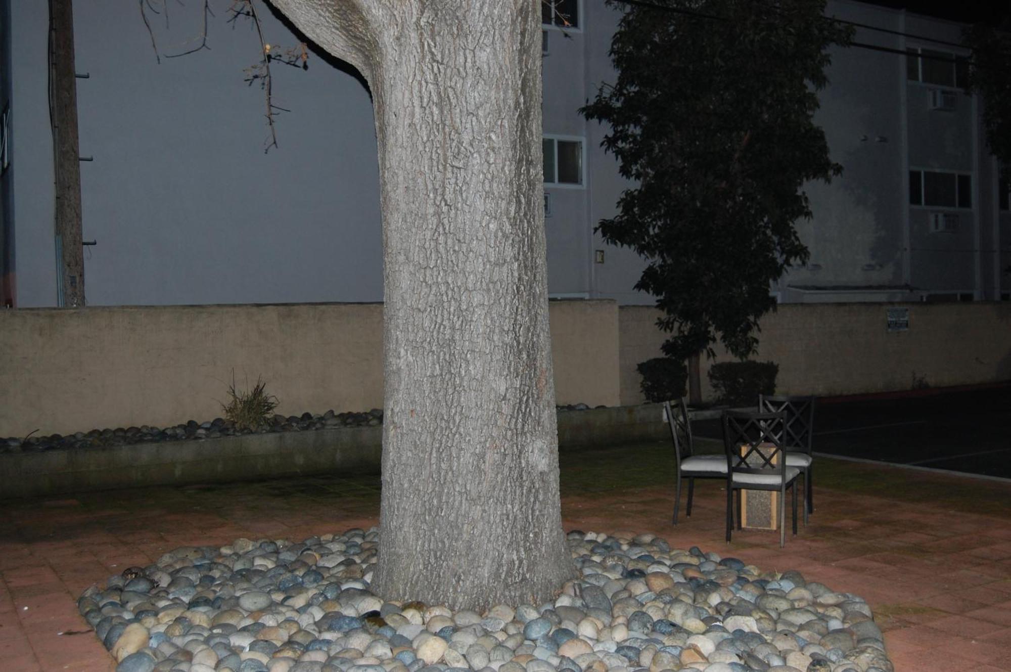 Pleasant Hill Inn Buitenkant foto